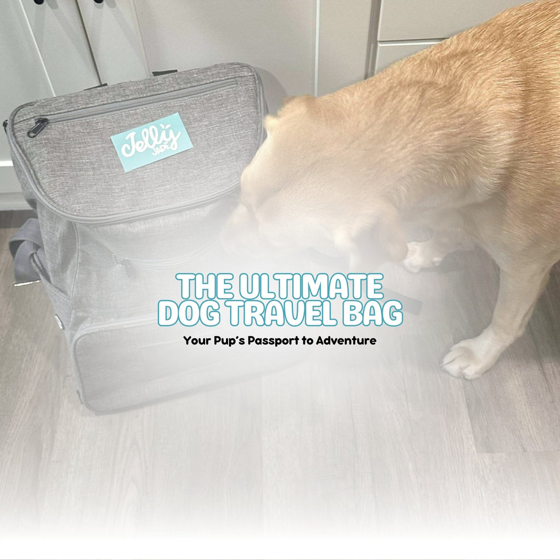 Jellyjade Dog Travel Bag