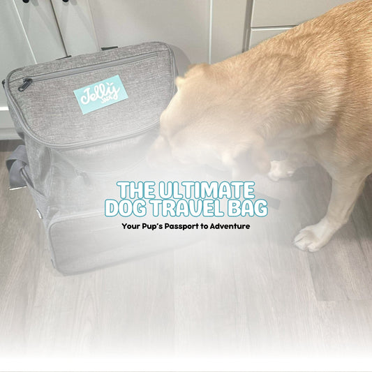 Jellyjade Dog Travel Bag