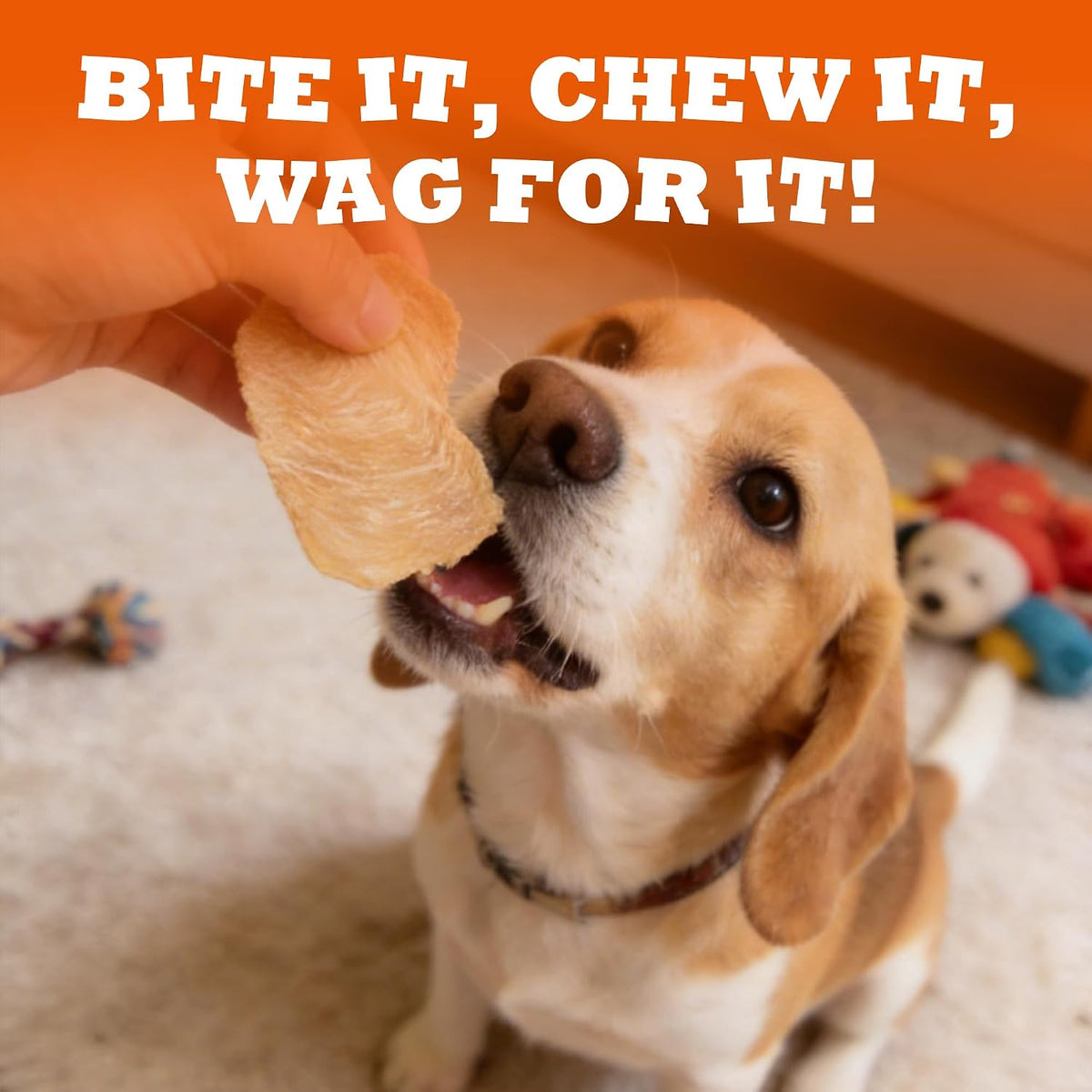 1.1 Pound Dehydrated Chicken Jerky Dog Treats, Single Ingredient