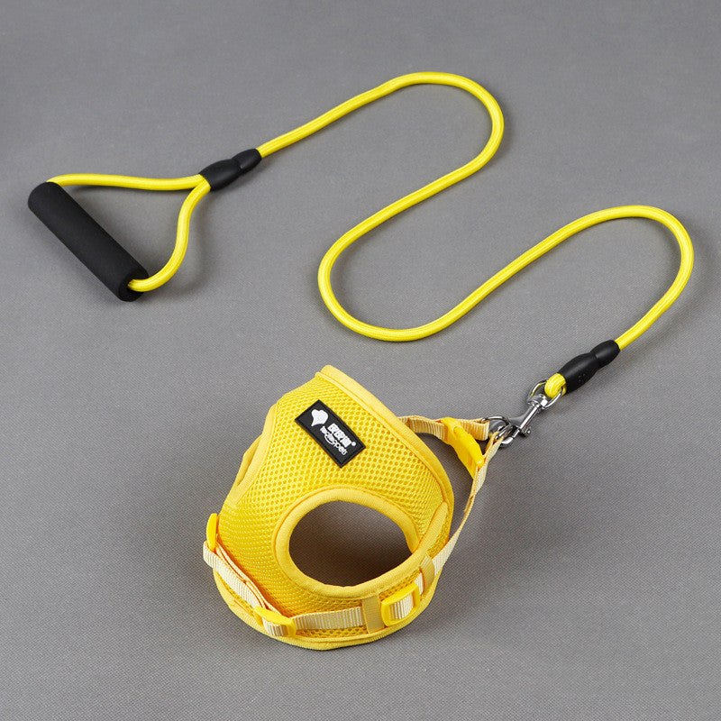 Dog Leash Dog Leash Dog Collar