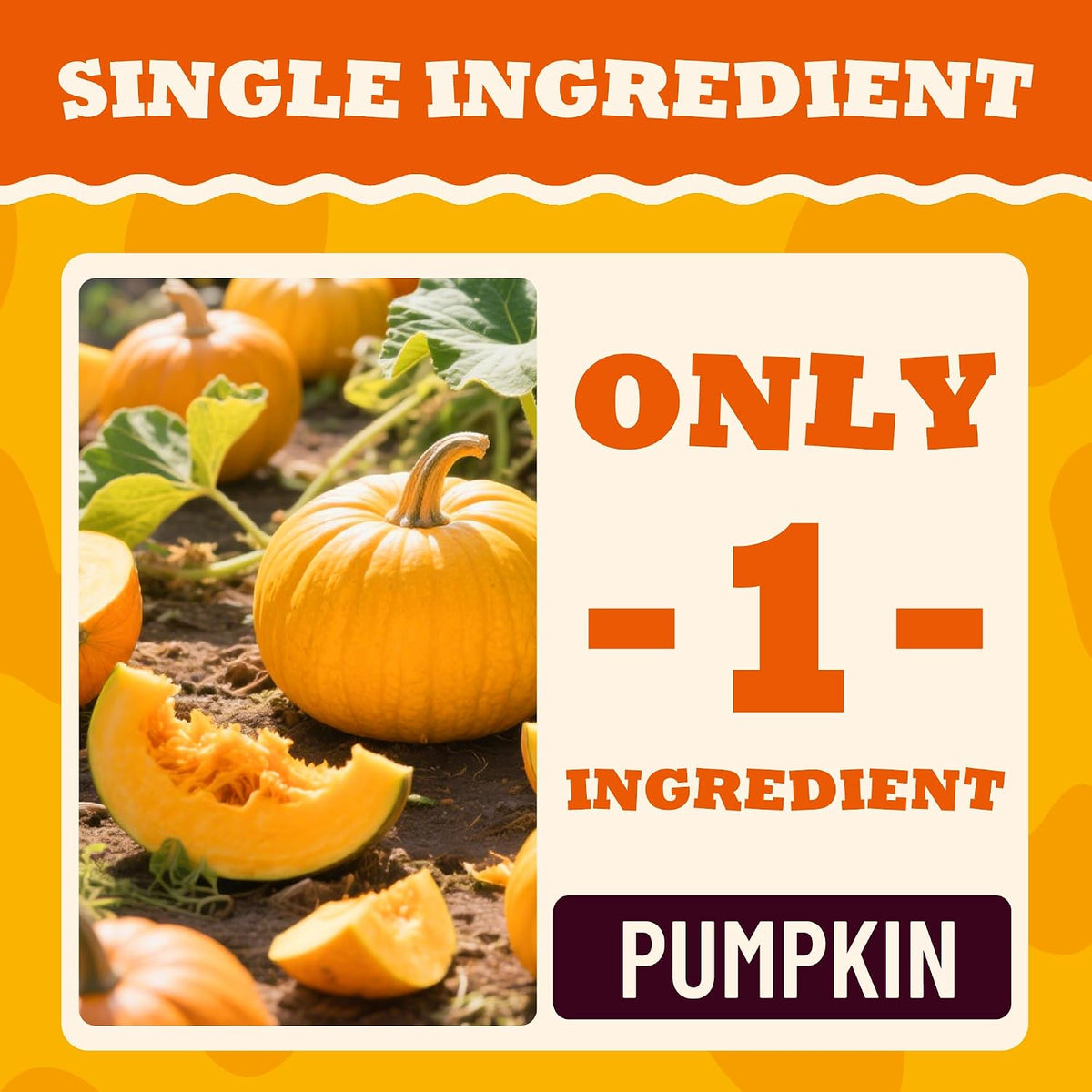 Freeze Dried Pumpkin Treats for Dogs, Single Ingredient, 1.76Oz