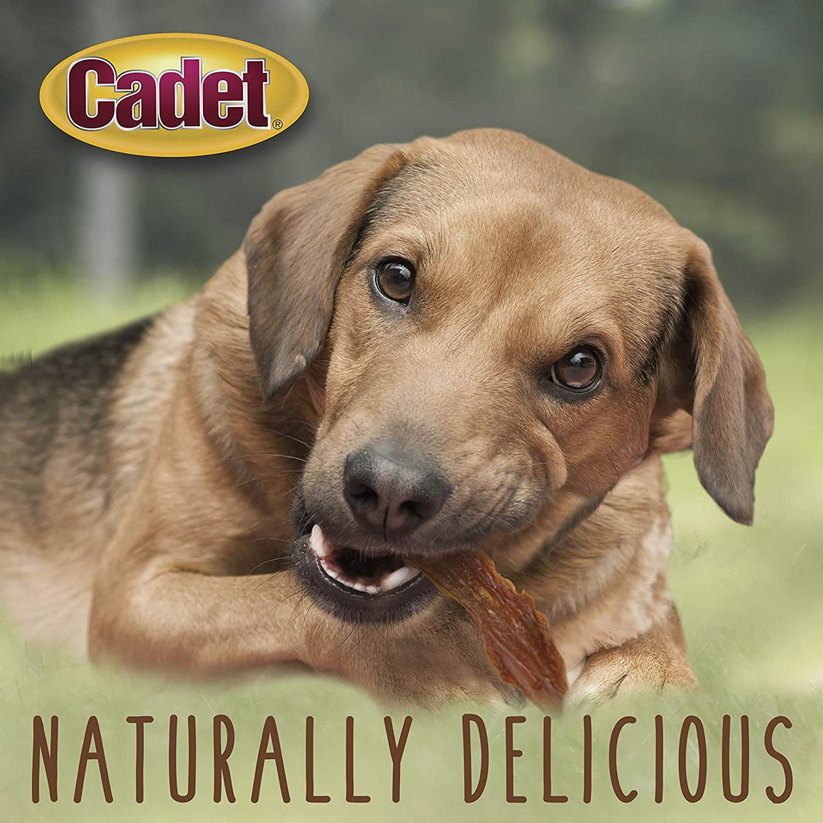 Gourmet Duck Breast Dog Jerky Treats, 14 Oz